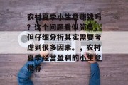 农村夏季小生意赚钱吗？这个问题看似简单，但仔细分析其实需要考虑到很多因素。，农村夏季经营盈利的小生意推荐