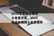 2019年低成本赚钱小生意分享，2019低成本赚钱小生意推荐