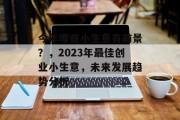 今年哪些小生意有前景?,2023年最佳创业小生意,未来发展趋势分析 今年哪些小生意有前景?,2023年最佳创业小生意,未来发展趋势分析