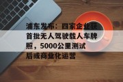 浦东发布：四家企业获首批无人驾驶载人车牌照，5000公里测试后或商业化运营