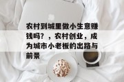 农村到城里做小生意赚钱吗？，农村创业，成为城市小老板的出路与前景