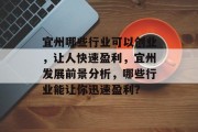 宜州哪些行业可以创业，让人快速盈利，宜州发展前景分析，哪些行业能让你迅速盈利？