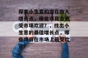 探索小生意的潜在收入增长点，哪些项目会更受市场欢迎？，找出小生意的最佳增长点，哪些项目在市场上最受欢迎?