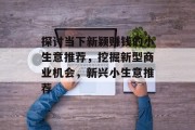 探讨当下新颖赚钱的小生意推荐，挖掘新型商业机会，新兴小生意推荐