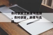 农村创业之前景与选择，农村创业，前景与选择