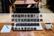 小到几百元，大到几十万元，如何在20万内找到盈利小生意？，小到几千元的盈利创业商机——20万元内找寻盈利小生意的攻略