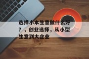 选择小本生意做什么好？，创业选择，从小型生意到大企业