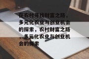 在农村寻找财富之路，多元化农业与创业机会的探索，农村财富之路，多元化农业与创业机会的探索
