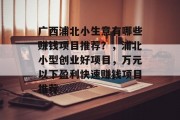 广西浦北小生意有哪些赚钱项目推荐？，浦北小型创业好项目，万元以下盈利快速赚钱项目推荐