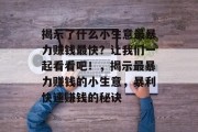 揭示了什么小生意最暴力赚钱最快？让我们一起看看吧！，揭示最暴力赚钱的小生意，暴利快速赚钱的秘诀