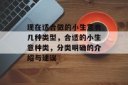 现在适合做的小生意有几种类型，合适的小生意种类，分类明确的介绍与建议
