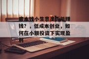底本钱小生意是否能赚钱？，低成本创业，如何在小额投资下实现盈利