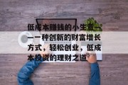 低成本赚钱的小生意——一种创新的财富增长方式，轻松创业，低成本投资的理财之道
