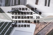 2022年新年，做个小生意赚取财富——春节促销活动策划，2022年新年开始，春节促销活动策划