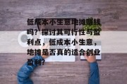 低成本小生意地摊赚钱吗？探讨其可行性与盈利点，低成本小生意，地摊是否真的适合创业盈利?