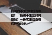 扬州的小生意赚钱有哪些？，扬州小生意如何赚钱？一份实用指南带你轻松起步