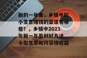 新的一年里，乡镇中的小生意赚钱的渠道有哪些？，乡镇中2023年新一年盈利好方法，小型生意如何获得收益