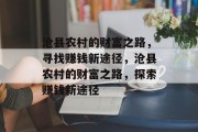 沧县农村的财富之路，寻找赚钱新途径，沧县农村的财富之路，探索赚钱新途径