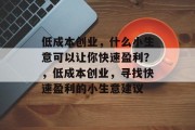 低成本创业，什么小生意可以让你快速盈利？，低成本创业，寻找快速盈利的小生意建议