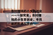 农村赚钱的小生意创业——一探究竟，农村赚钱的小生意创业，寻找新的机遇与挑战
