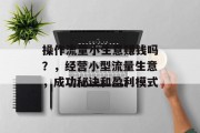 操作流量小生意赚钱吗？，经营小型流量生意，成功秘诀和盈利模式