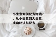 小生意如何配方赚钱？，从小生意到大生意，成功秘诀与配方