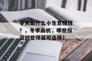 冬天做什么小生意赚钱？，冬季商机，哪些投资创业项目可选择？