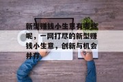 新型赚钱小生意有哪些呢，一网打尽的新型赚钱小生意，创新与机会并存