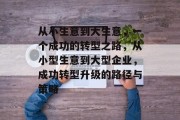 从小生意到大生意，一个成功的转型之路，从小型生意到大型企业，成功转型升级的路径与策略