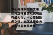 中心商铺的盈利之道，如何选择业务以实现盈利最大化，中心商铺盈利之道，如何选择业务以实现盈利最大化