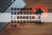 开启创业新天地，小型企业实体项目如何赚钱？，启动创业之旅，小型企业实体项目的盈利之道