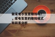 做家电小生意赚钱吗？，家电生意的赚钱模式和前景分析