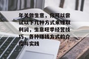 年关做生意，你可以尝试以下几种方式来赚取利润，生意旺季经营技巧，各种赚钱方式的介绍与实践