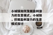 小城镇如何发掘盈利潜力的生意模式，小城镇，挖掘盈利潜力的生意模式探讨