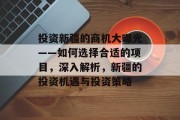 投资新疆的商机大曝光——如何选择合适的项目，深入解析，新疆的投资机遇与投资策略