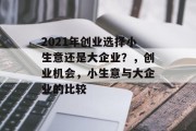 2021年创业选择小生意还是大企业？，创业机会，小生意与大企业的比较