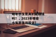 明年小生意真的能赚钱吗？，2023年哪些小生意值得投资?