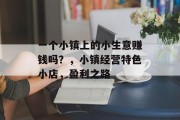 一个小镇上的小生意赚钱吗？，小镇经营特色小店，盈利之路