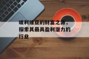 玻利维亚的财富之源，探索其最具盈利潜力的行业