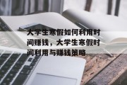 大学生寒假如何利用时间赚钱，大学生寒假时间利用与赚钱策略