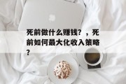 死前做什么赚钱？，死前如何最大化收入策略？