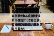 寻找66直播赚钱小生意的秘诀，新手必看，如何找到66直播赚钱的小生意？只需三步，轻松成为主播，日入万元不是梦！