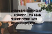 北海的小生意创业指南，北海创业，热门小本生意创业攻略: 选好项目是成功的关键！