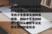 发掘那些隐藏在角落里的小生意——怎样通过寻找小生意来实现财富增值，揭秘小生意的秘密，如何从看似平淡无奇中找到财富机会