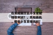 在贵阳做什么小生意能赚取利润？，贵阳商机，哪些小生意赚钱好?