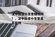 汉中投资小生意赚钱吗？，汉中投资小生意是否盈利