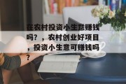 在农村投资小生意赚钱吗？，农村创业好项目，投资小生意可赚钱吗？