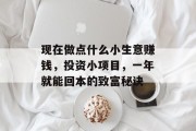 现在做点什么小生意赚钱，投资小项目，一年就能回本的致富秘诀