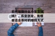 农村能做什么小生意赚钱？，农业创业，有哪些适合农村的赚钱方式？