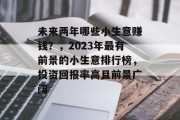 未来两年哪些小生意赚钱？，2023年最有前景的小生意排行榜，投资回报率高且前景广阔